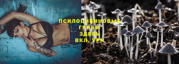мескалин Баксан